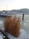 2008-01-09.jpg
