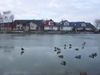 2008-01-29.jpg