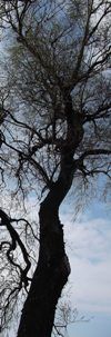 2011-04-03.jpg