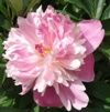 2011-05-20.jpg