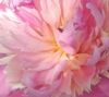2011-05-24.jpg