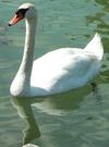 2011-05-30.jpg