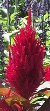 2011-08-19.jpg