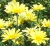 2011-08-21.jpg